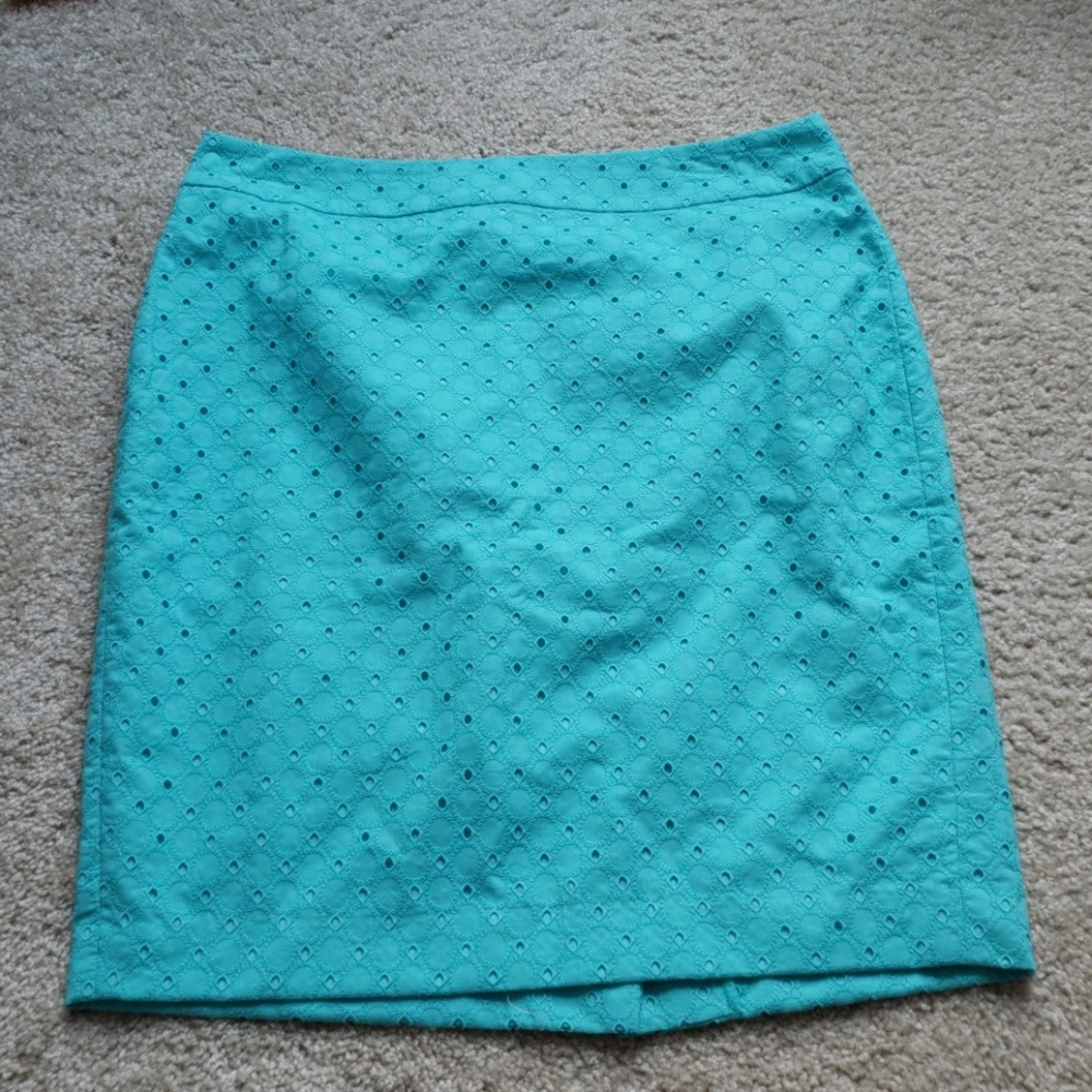 Ann Taylor Petite Skirt new with tags